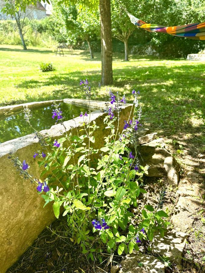 Cazillac Maison Fermontesヴィラ エクステリア 写真